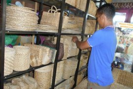 Perajin Amuntai ubah gulma eceng gondok jadi barang mahal