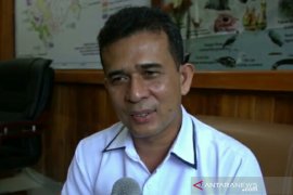 BKSDA Sumsel mencatat 23 kali manusia berkonflik dengan harimau