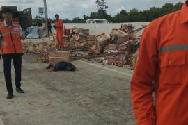 Tumpahan jeruk di jalan tol ruas Terbanggi-Bakauheni Page 2 Small