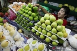 Pemprov Babel waspadai buah impor berformalin jelang Imlek