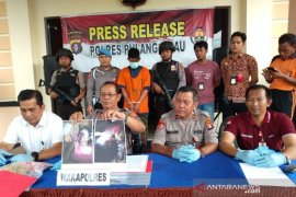 Begini kronologis anak bunuh ibu kandung di Pulang Pisau
