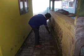 Ular kobra ukuran besar masuk perkampungan