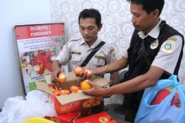 Pengawasan buah-buahan dari luar Negeri