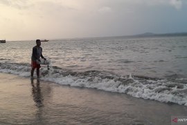 Petugas Bakamla TWNC lepaskan 30 ekor lobster ke laut