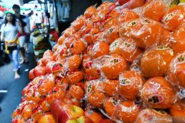 Asosiasi Hortikultura harap tidak ada monopoli kuota impor buah