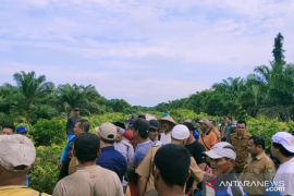 Warga bentrok dengan PT DSI saat tinjauan DPRD Siak