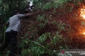 Karhutla di Kecamatan Leihitu hanguskan tanaman cengkah dan pala