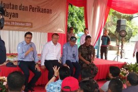 KKP gandeng BUMN perbankan-asuransi berdayakan nelayan