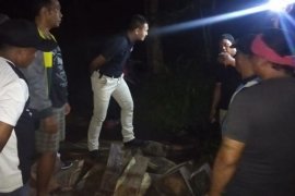 TNI-Polri Buleleng tangkap pelaku "Illegal Logging"