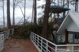 Taman Pasir Putih rusak  ditimpa pohon tumbang