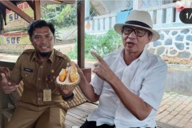 Pemprov siapkan 1.000 durian gratis di Festival Durian Banten