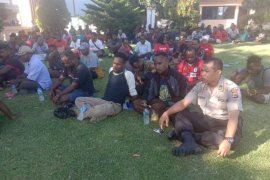 Polres Jayapura: Pelaku perzinahan bayar denda Rp73 juta serta tiga ekor babi