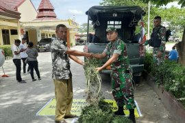 Yonif 300/BJW serahkan 69 pohon ganja ke Satresnarkoba Polres Keerom