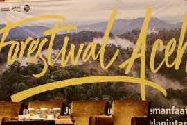 Walhi temukan masih adanya aktivitas ilegal di hutan Aceh