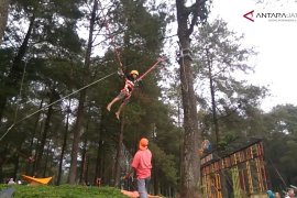 Video - Serunya bermain trampolin pohon di Hutan Pinus Limpakuwus