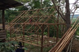 "Durian surga" itu jatuhnya di Mentok