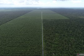 BKSDA Kalbar gagalkan aktivitas pertambangan ilegal di Sambas