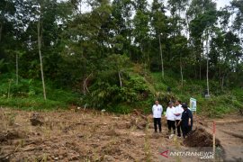 Govt sets aside Rp1.9 trillion for national reforestation