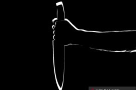 Sadis, satu keluarga ini dibunuh OTK, warga lain melarikan diri