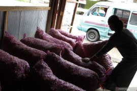 HARGA BAWANG MERAH DAN PUTIH NAIK DRASTIS Page 1 Small