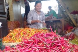 Kenaikan harga cabai merah picu inflasi di Kepri