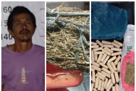 Polisi Brandan ringkus "Si Mbah" miliki ratusan paket ganja