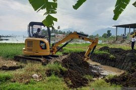 Usai dikeluarkan, berikut cara pemusnahan 10 ton bangkai ikan di Danau Maninjau (Video)