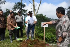 Pemkab Batang canangkan agrowisata Pagilaran jadi ikon wisata