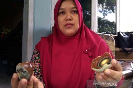 Polisi selidiki temuan telur asin diduga palsu