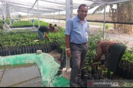 BPTP: waktu tanam petani di NTT bergeser hampir sebulan