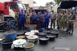 Tim gabungan kembali sita ribuan anakan ikan yang dijual di pasar Barabai