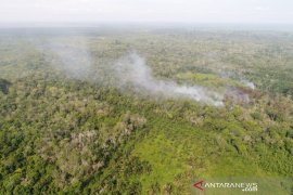 Siak sudah tetapkan status siaga darurat Karhutla