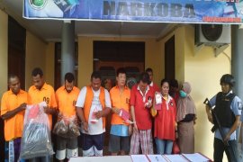 Dit Narkoba Polda Papua musnahkan ganja dan sabu-sabu