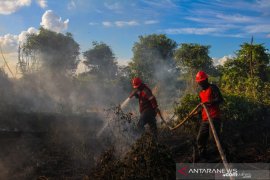 Riau prepares for land and forest fires this year
