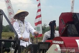 Menteri Pertanian: stok bawang putih cukup