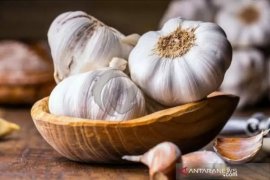 Kemendag berupaya tekan harga bawang putih Rp70.000/Kg