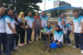 Generasi muda Jasa Raharja hijaukan Terminal Gambut Barakat