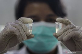 China temukan virus corona kelelawar mirip virus COVID-19
