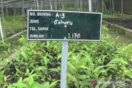 BPDASHL Baturusa Cerucuk bantu bangun rumah pembibitan gaharu