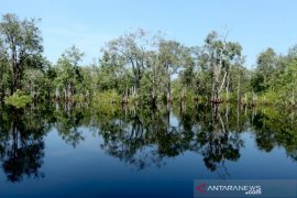 Kapal tim aju kunjungan Raja Belanda tabrakan, satu orang belum ditemukan
