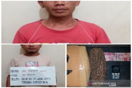Bawa ganja, dua warga Angkola Muara Tais ditangkap Satresnarkoba Polres Tapsel
