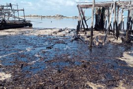 Warga saksikan minyak hitam cemari Pantai Senggiling, Bintan