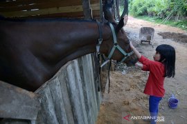 Melihat aksi Joki Cilik di Pekanbaru Page 4 Small