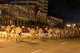 PBB kutuk pemutusan pasokan air ke kota Tripoli, Libya di tengah wabah corona