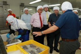 Undang Pihak Terkait Cari Solusi Anjloknya Harga Udang