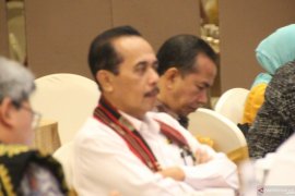 Ratusan babi di NTT mati diserang virus aneh