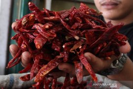 Harga cabai merah kering naik drastis