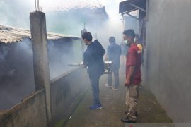 Tangerang kerahkan jumantik untuk cegah penyebaran chikungunya dan DBD