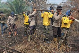 Wagubri : Karhutla intai lima juta hektare gambut Riau