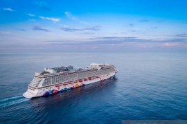 BNPB dukung opsi pemulangan WNI dari kapal World Dream dan Diamond Princess
